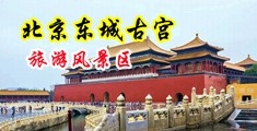 小骚穴大鸡巴视频中国北京-东城古宫旅游风景区